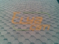 bisse-cati-singil8
