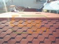 contech-shingle4