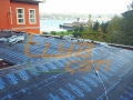 disisleri-bakir-shingle4