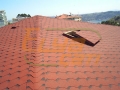 etiler-shingle1