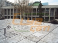 ibb-cati9