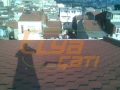 sevgikurt-cati6