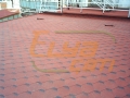 vip-shinglecati6